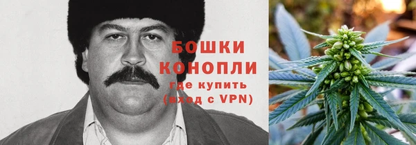 ALPHA-PVP Богородицк