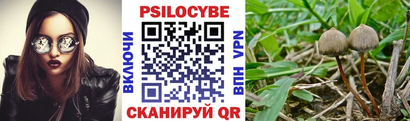 Псилоцибиновые грибы Psilocybine cubensis  Купить закладки  Абаза 