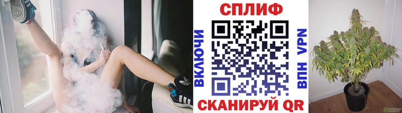 Купить где  Абаза  Каннабис семена 